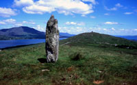 Bere Island stone