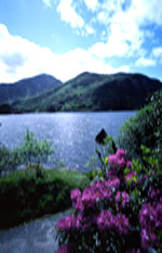 Glanmore Lake