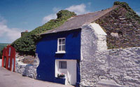the Blue House